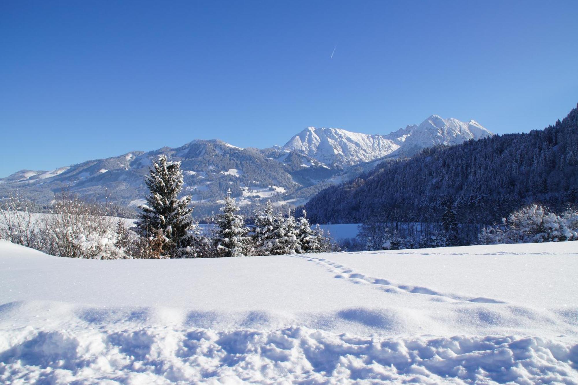 Wohlfuehlhotel Berwanger Hof Obermaiselstein Exteriör bild